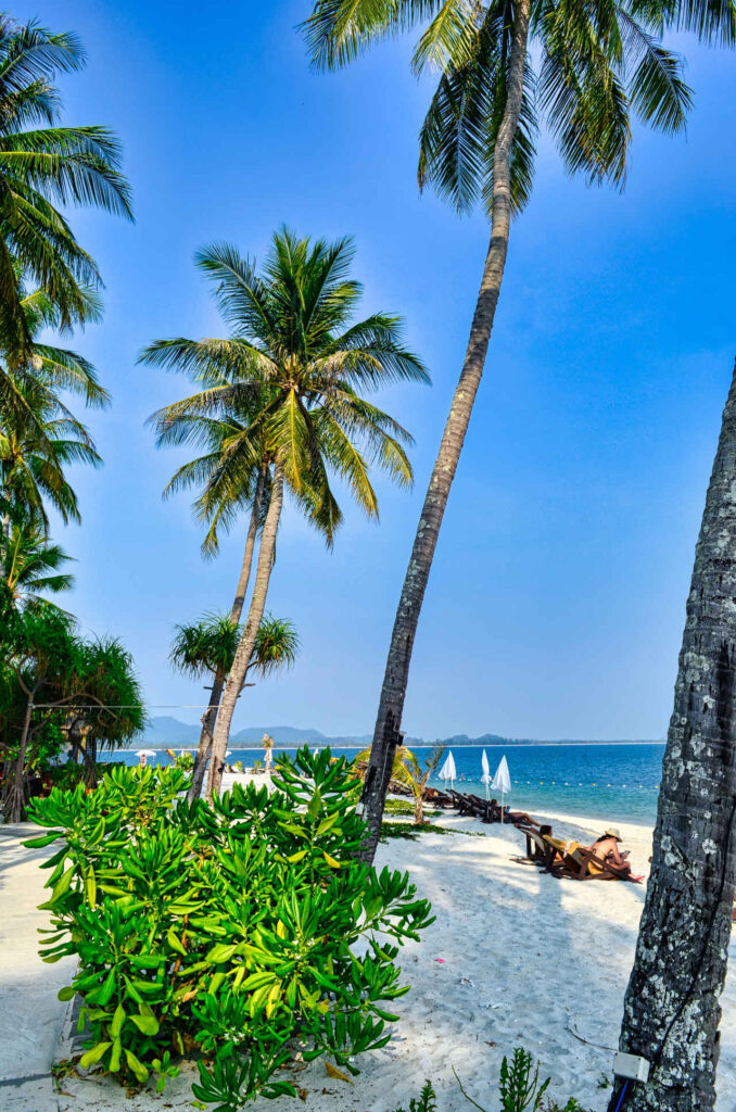 Spiaggia mare palme e riposo, Koh Mook - Image by Guglielmo