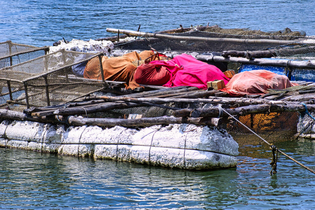 Un Krachang ovvero una zaona di mare recintata dove allevare pesci - Image by Guglielmo